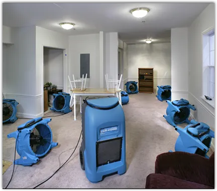 Water Damage Restoration services in Homestead Meadows North, TX