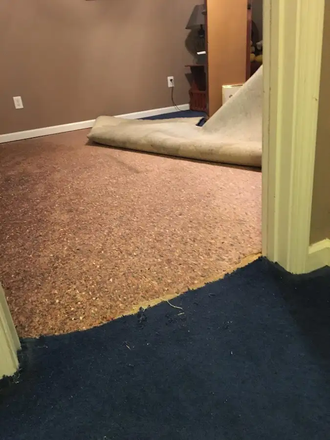 Carpet pad removal revealing water damage during Drying & Dehumidification in Homestead Meadows North