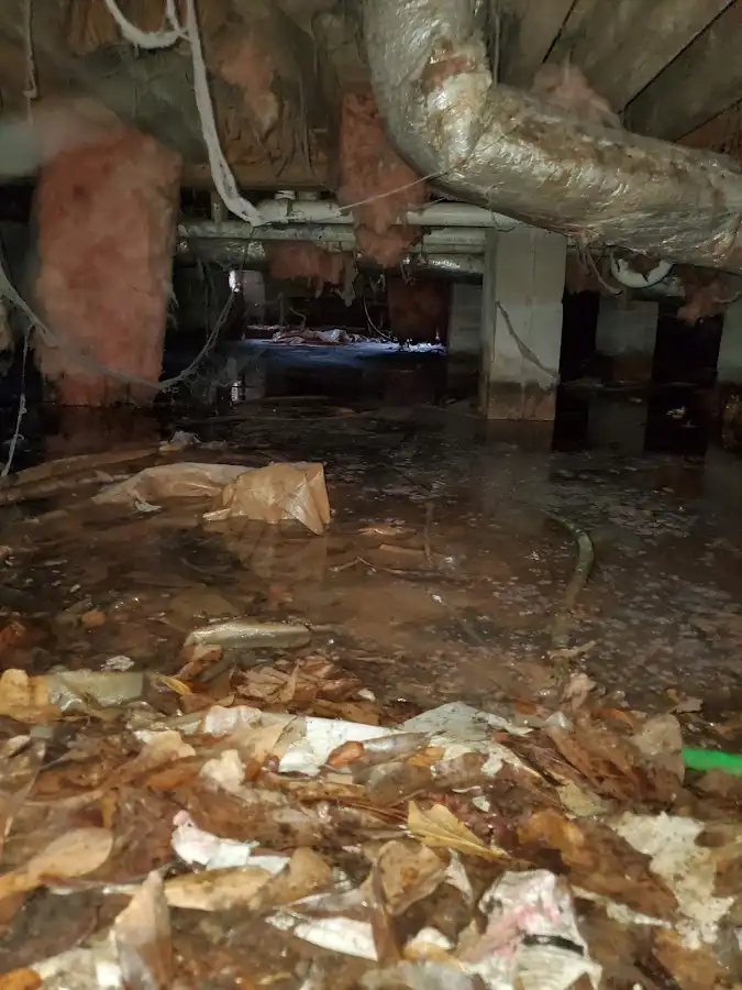 Crawl space flood assessment for Commercial Water Damage Restoration in Homestead Meadows North